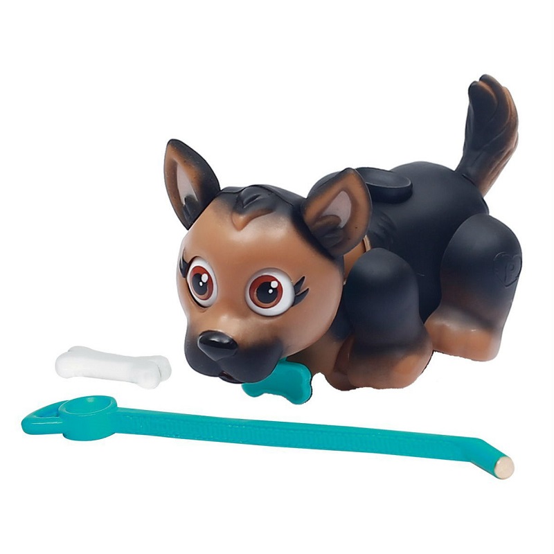 Пет Клаб Парад (Pet Club Parade) 