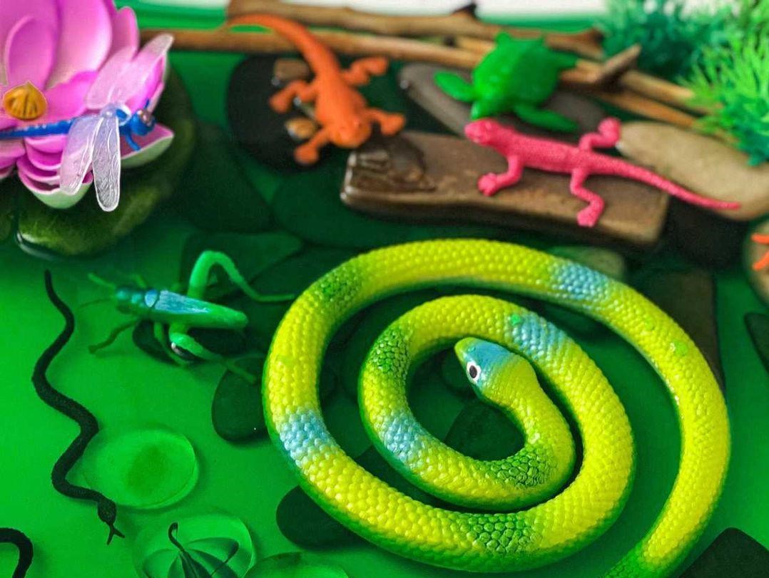 Жители пруда Жители пруда