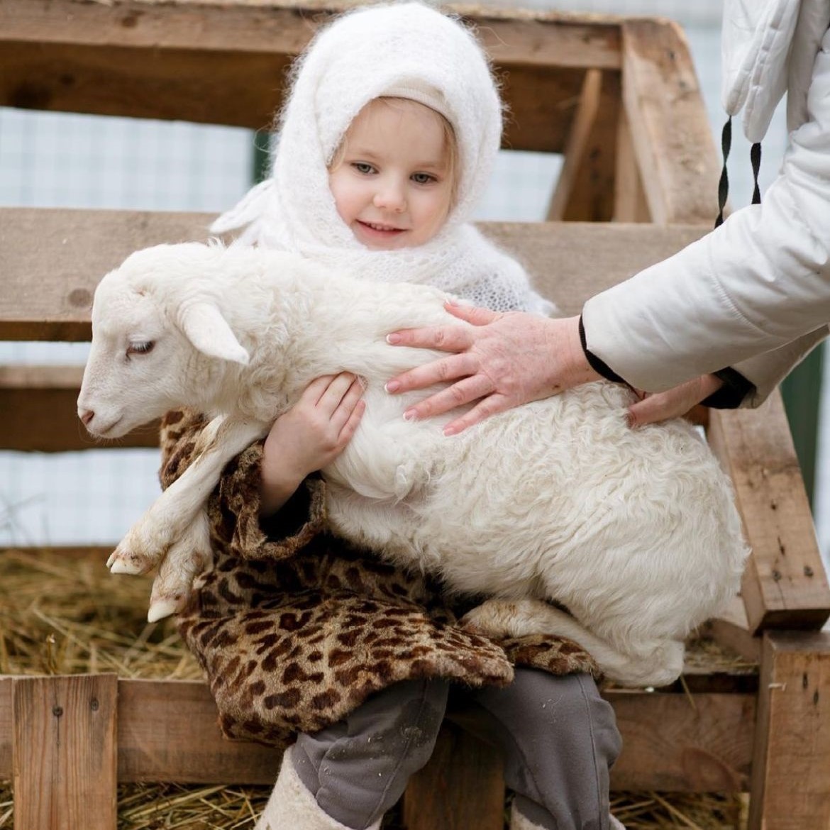 Ребенок с ягненком Ребенок с ягненком