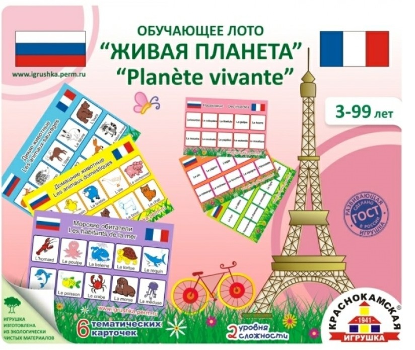 3787-800x800.jpg 3787-800x800.jpg