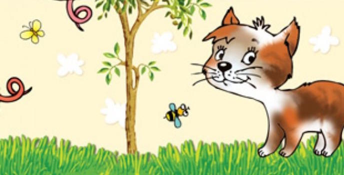 Яркие картинки