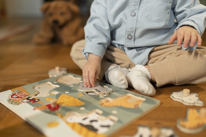 Деревянные пазлы Деревянные пазлы