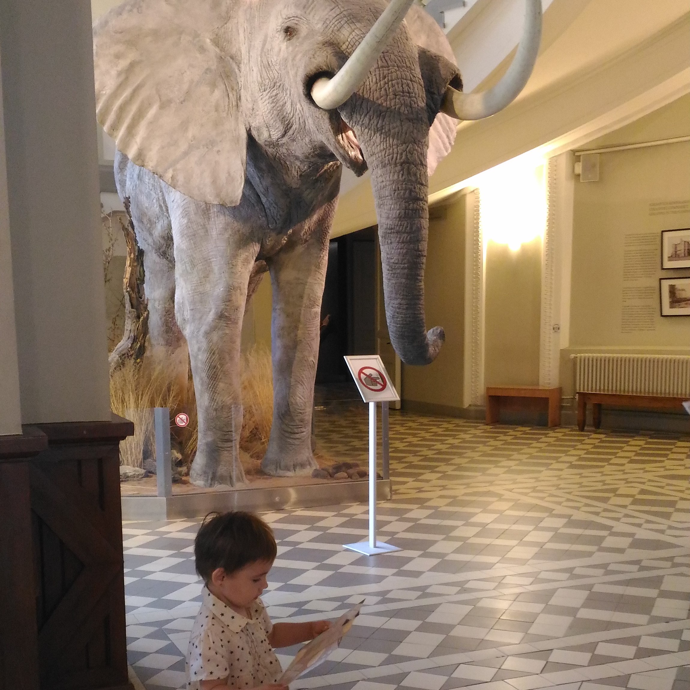 Музей естествознания в Хельсинки Музей естествознания в Хельсинки