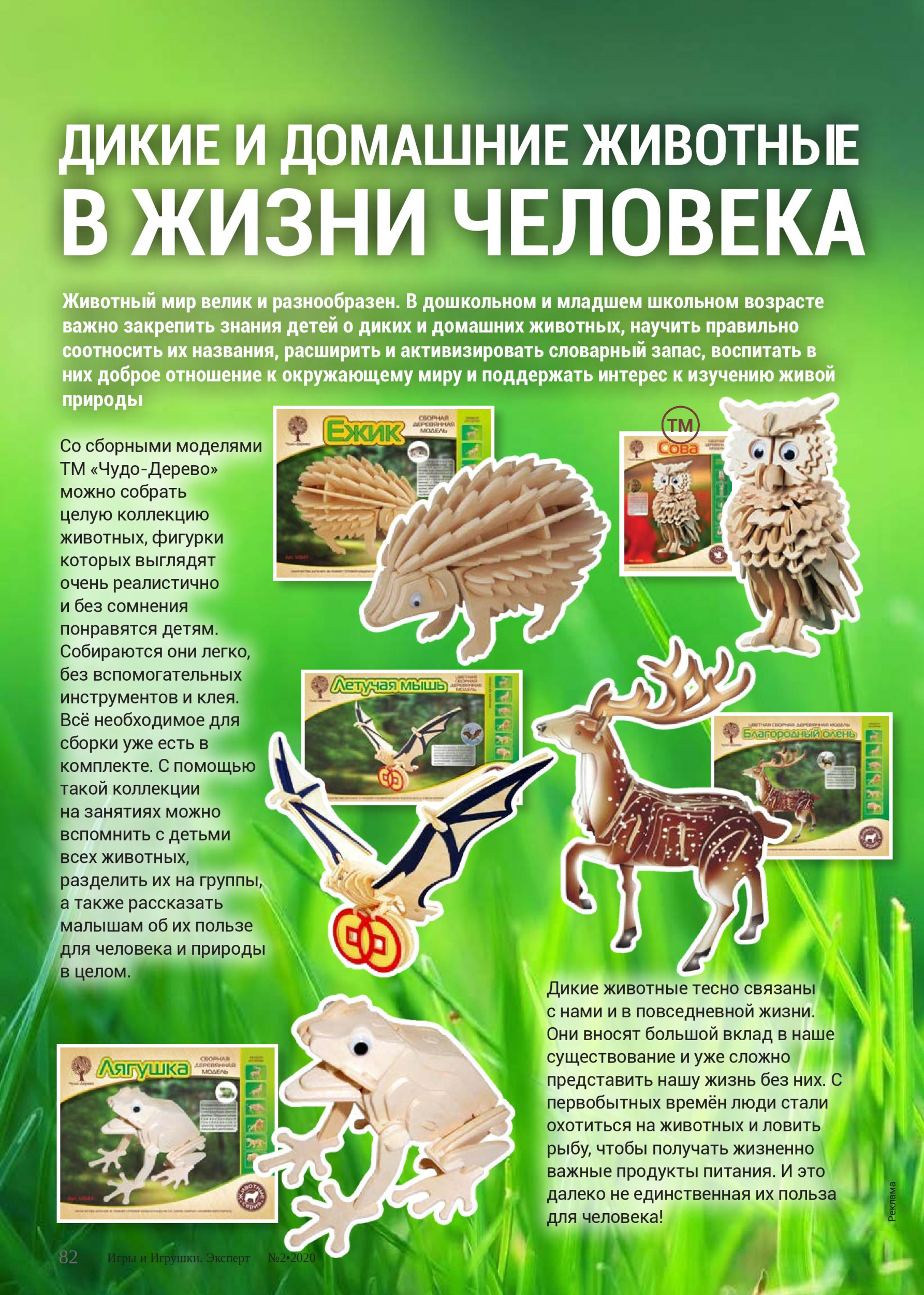 Дикие и домашние животные в жизни человека Дикие и домашние животные в жизни человека