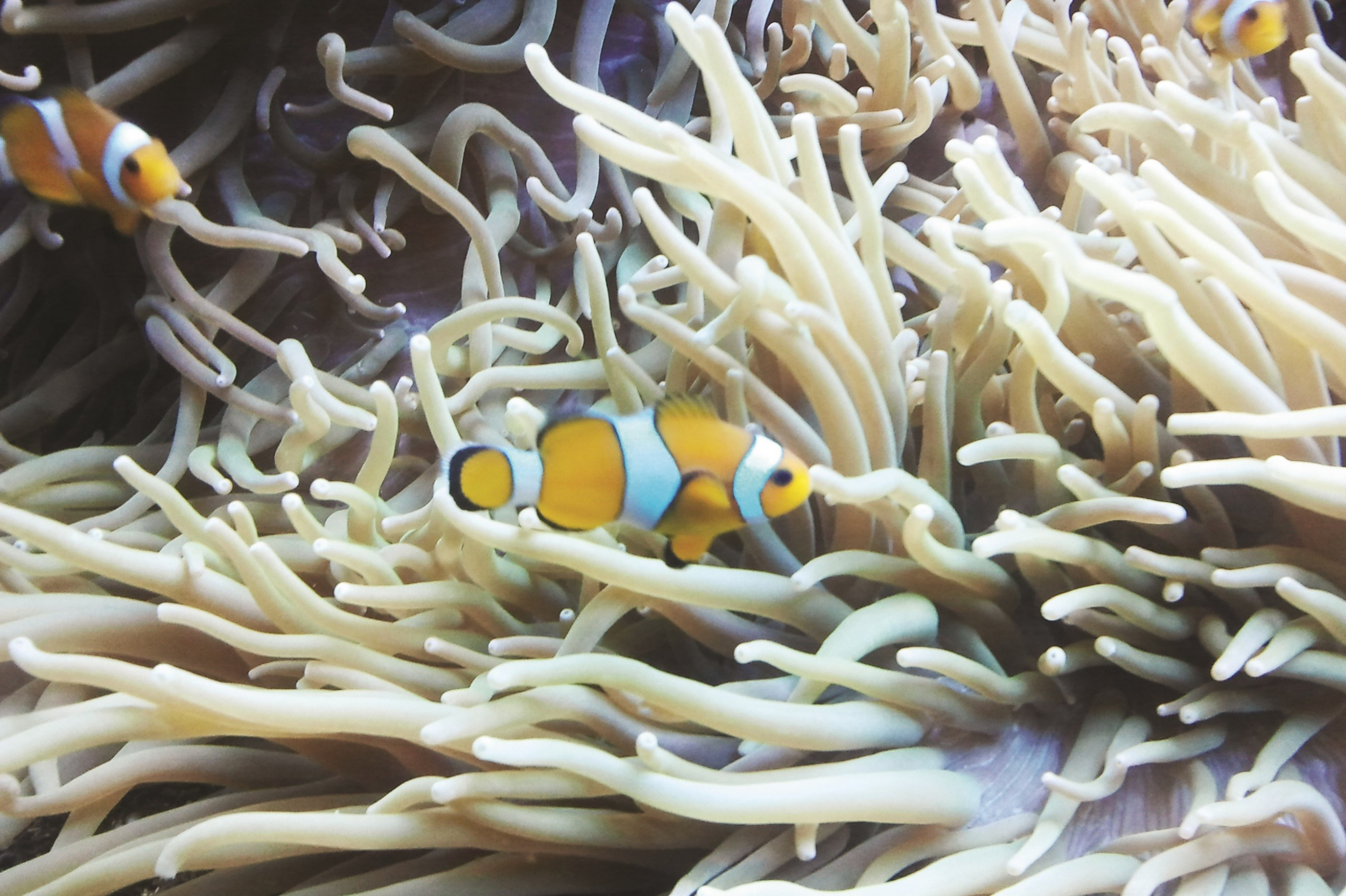 2012-02-08 16.22.23.jpg 2012-02-08 16.22.23.jpg