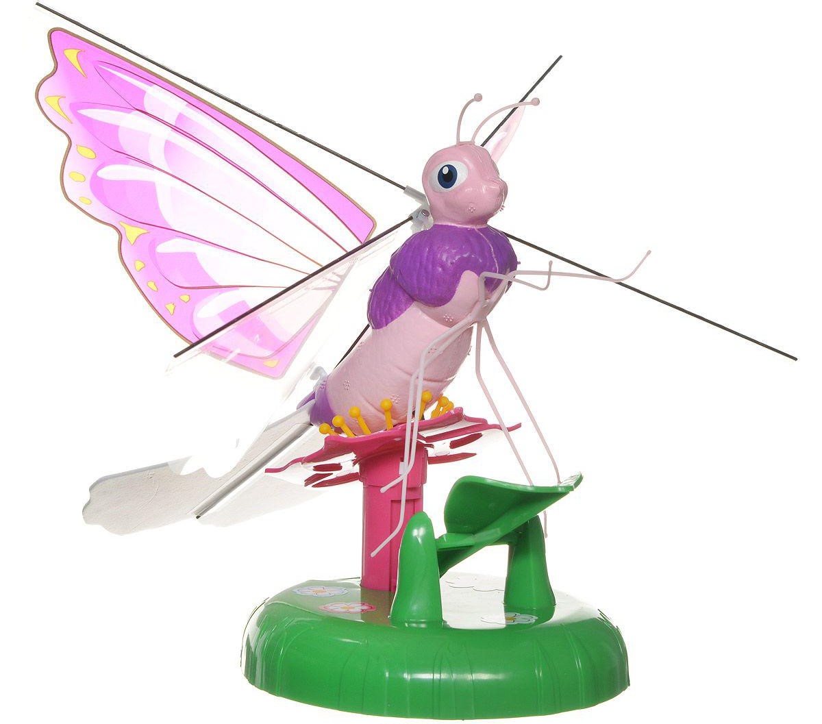 Летающая бабочка Zinnia Летающая бабочка Zinnia