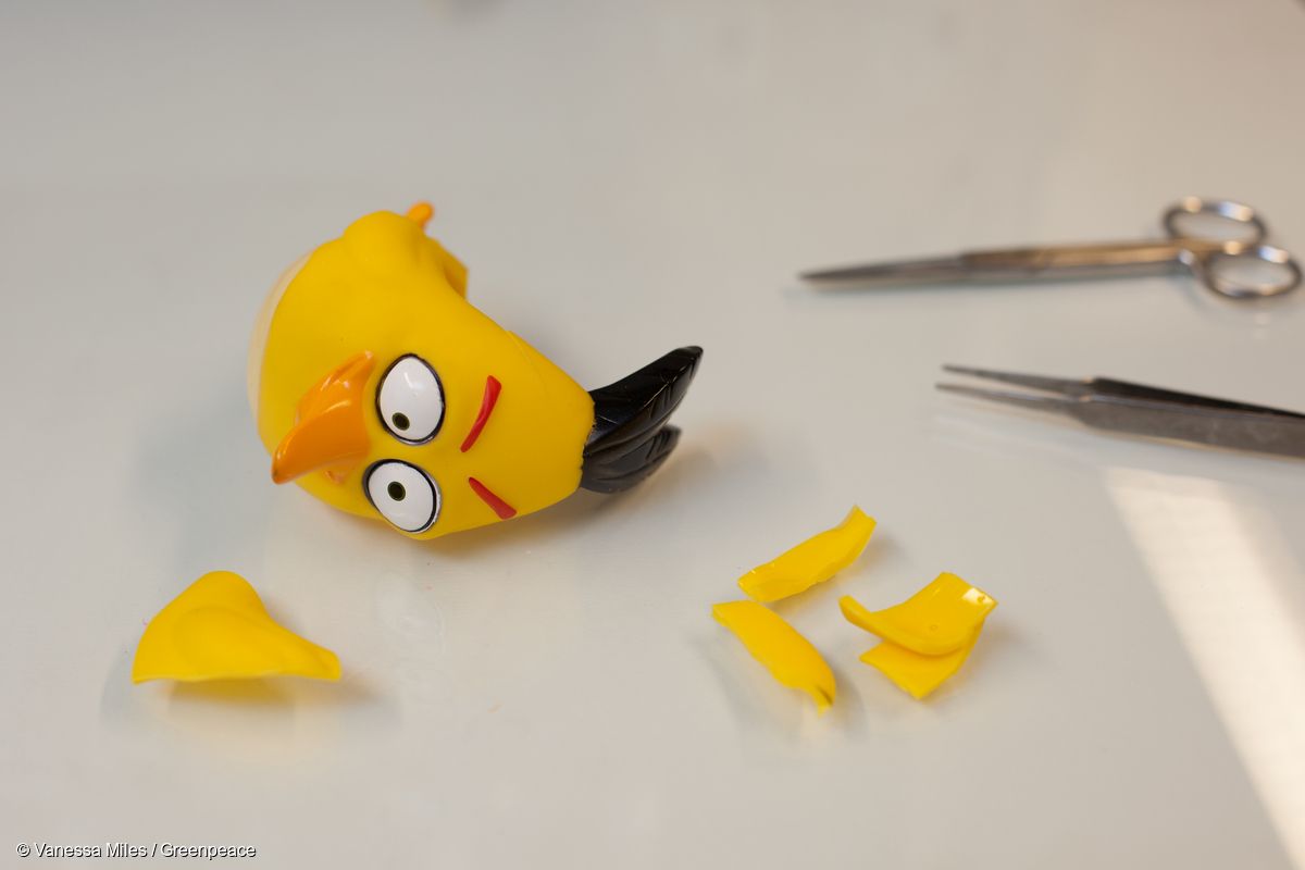 lab_bird.jpg lab_bird.jpg