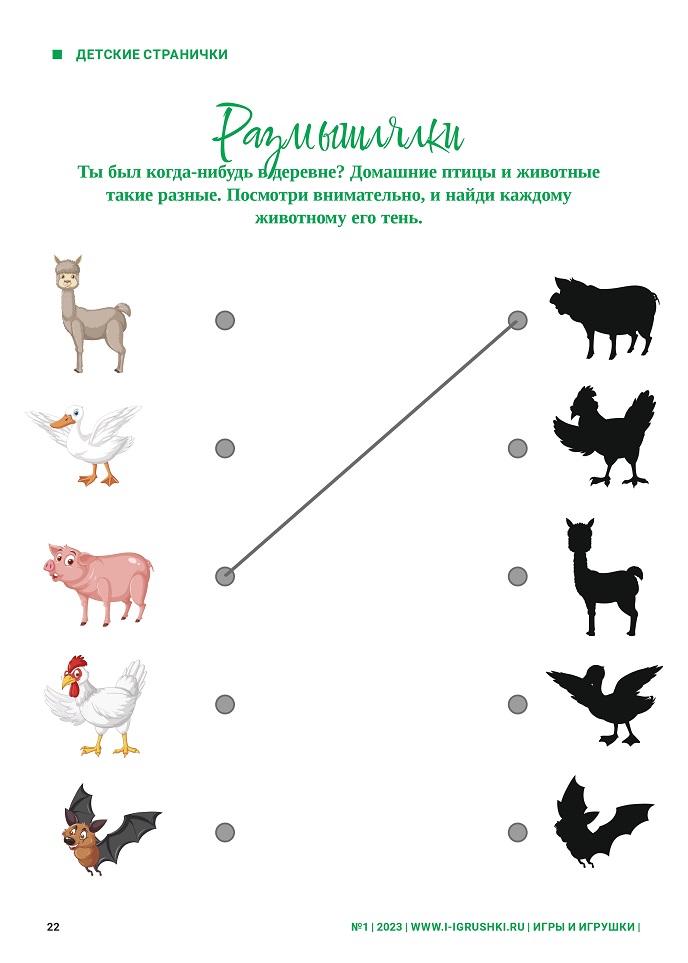 Найди пару каждому шару