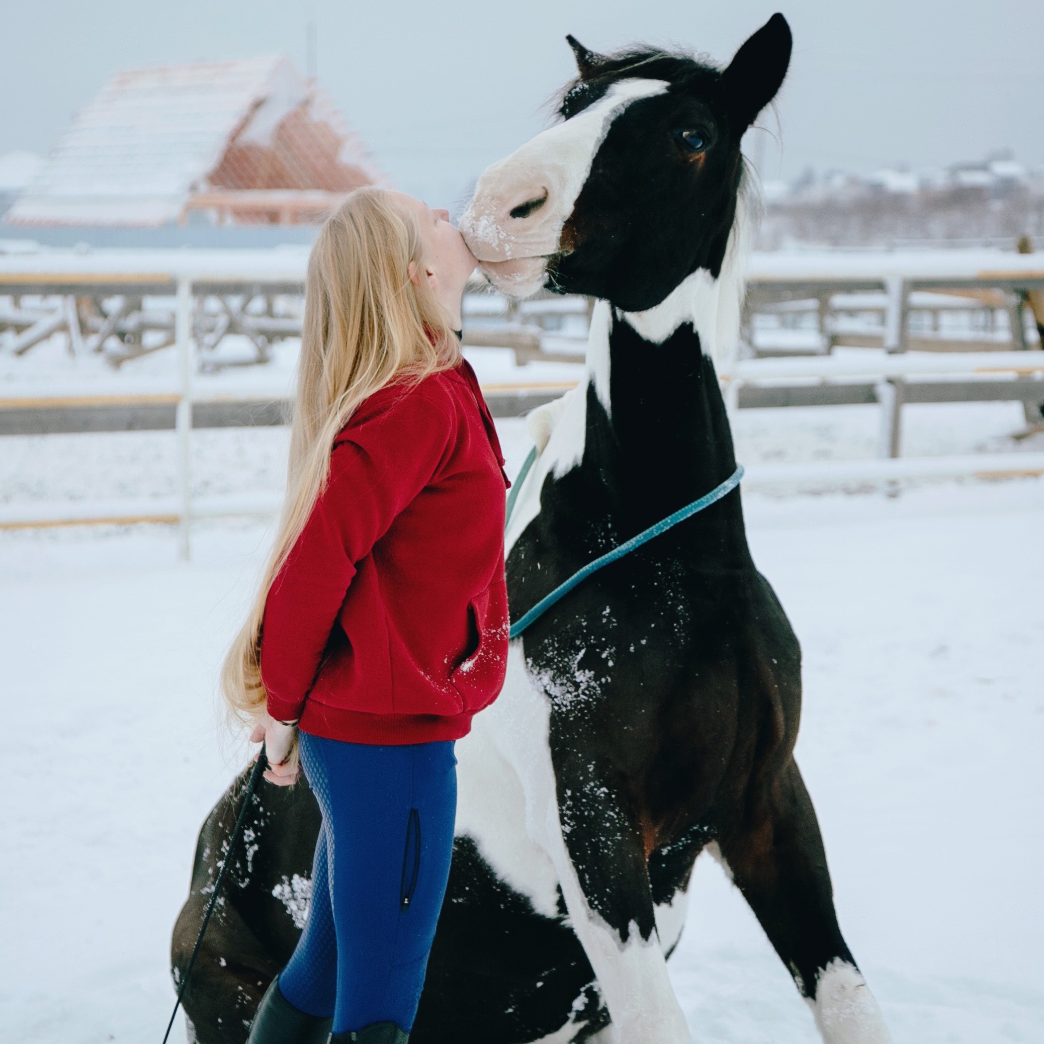 Пони-клуб Пони-клуб
