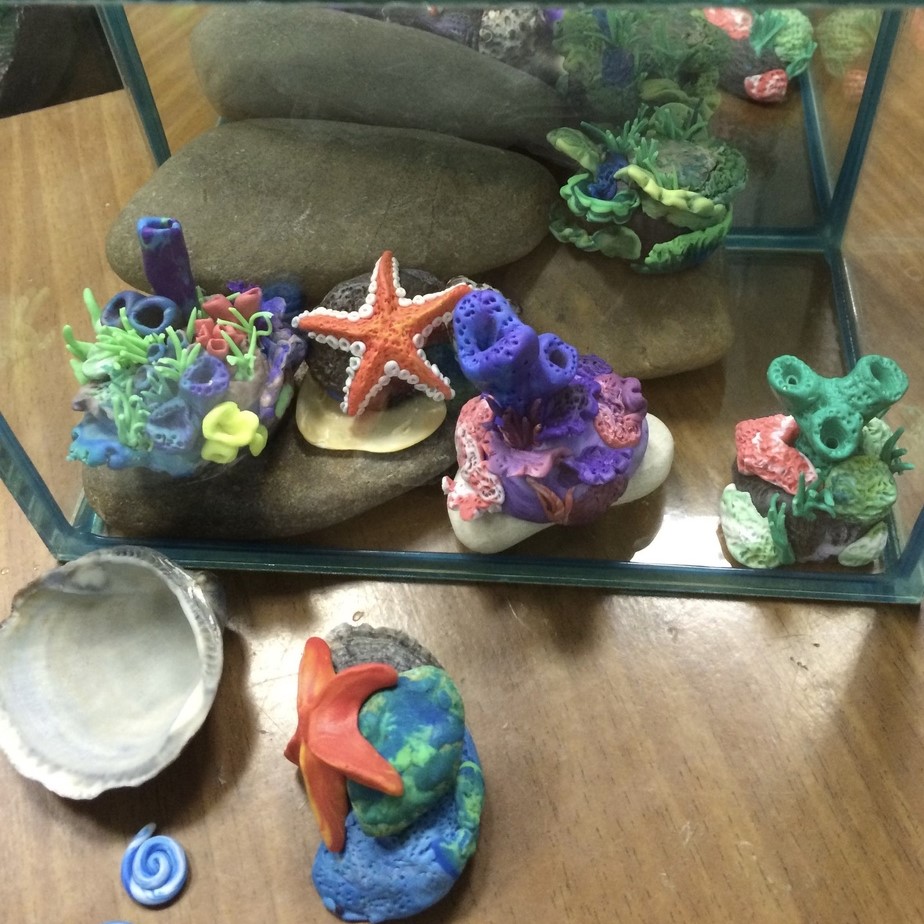 Настоящий аквариум для глиняных жителей Настоящий аквариум для глиняных жителей