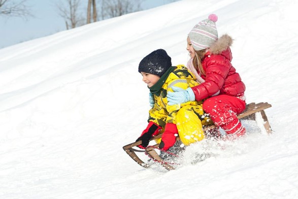 Российские производители санок провели почти полное импортозамещение Российские производители санок провели почти полное импортозамещение
