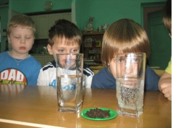 Использование исследовательских методов обучения Использование исследовательских методов обучения