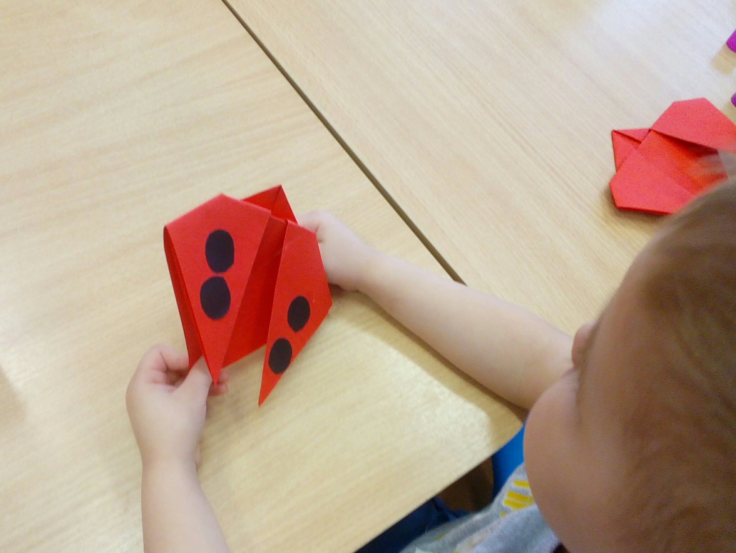 Божьи коровки Божьи коровки