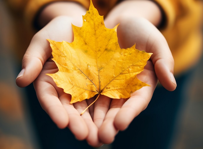 Осень Осень