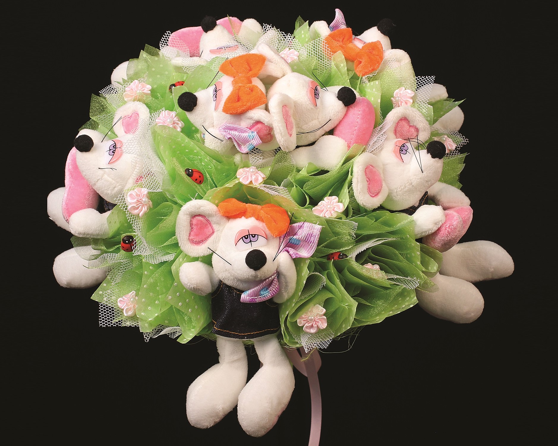 IMG_5816.jpg IMG_5816.jpg