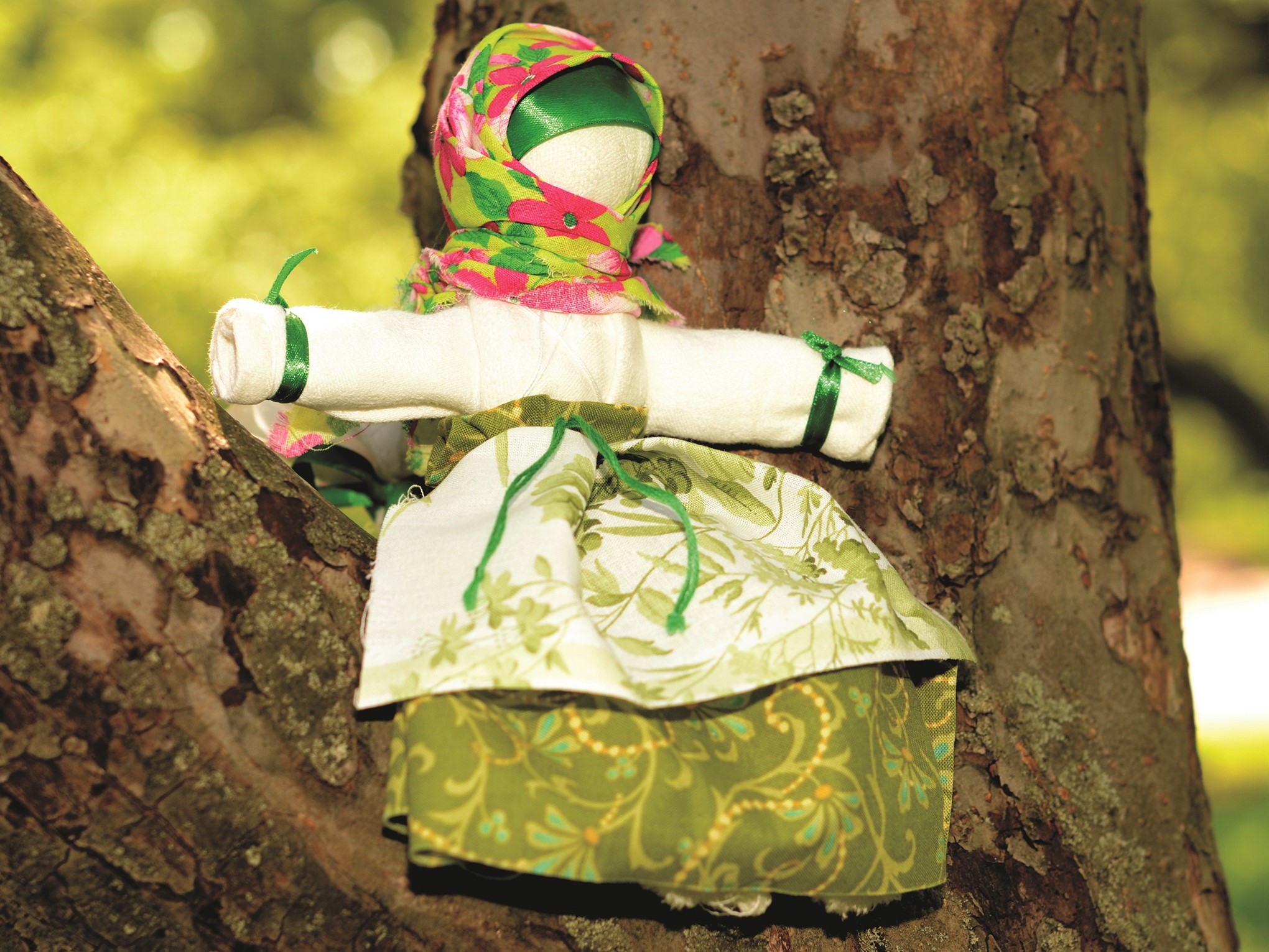 DSC_2355.jpg DSC_2355.jpg