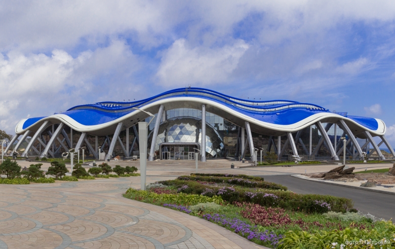 Приморский океанариум Приморский океанариум