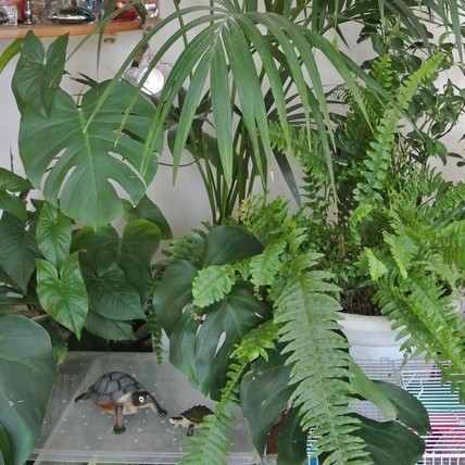 Image1189131.jpg Image1189131.jpg