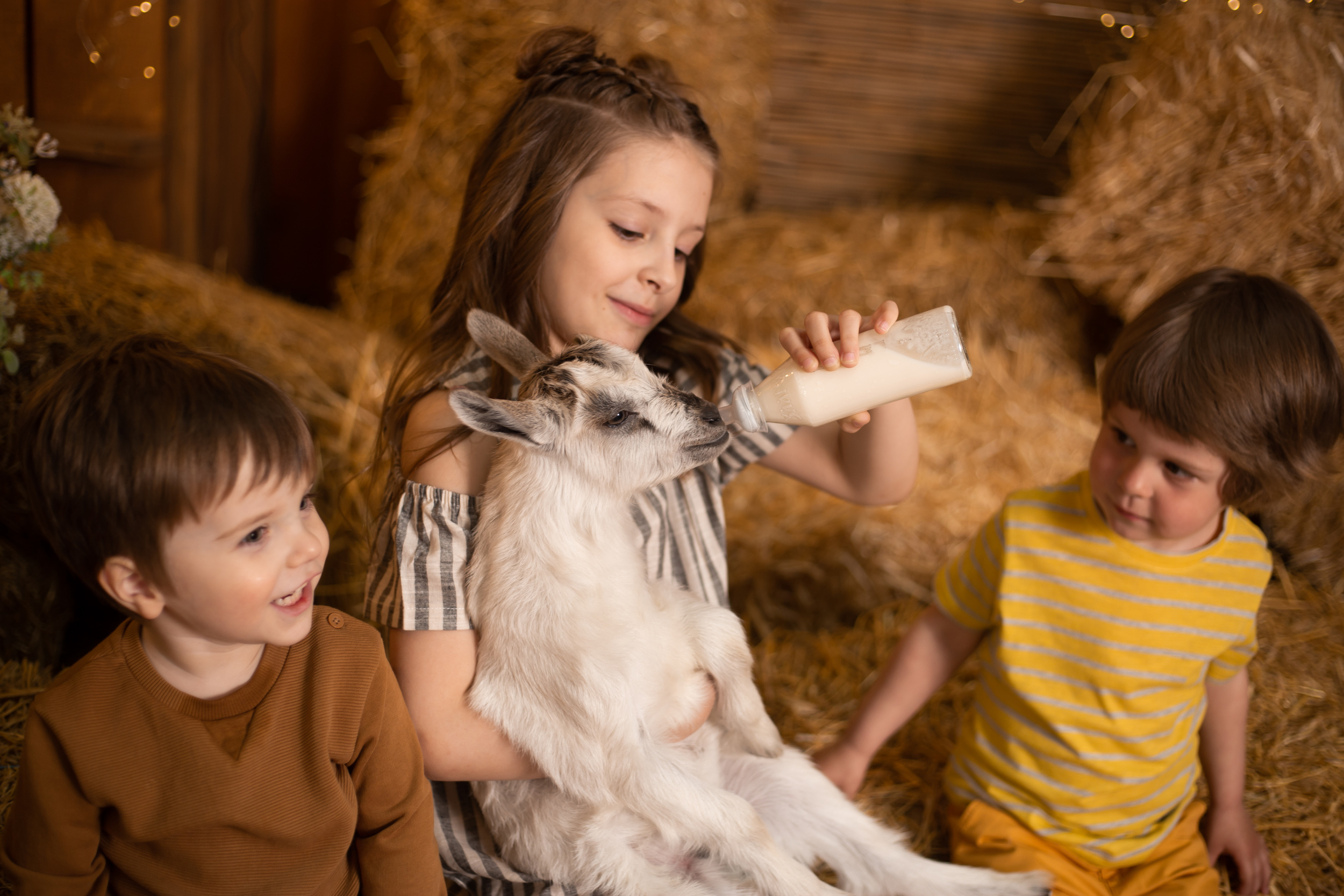 6 little-kids-playing-feeding-goat-with-bottle-milk.jpg 6 little-kids-playing-feeding-goat-with-bottle-milk.jpg