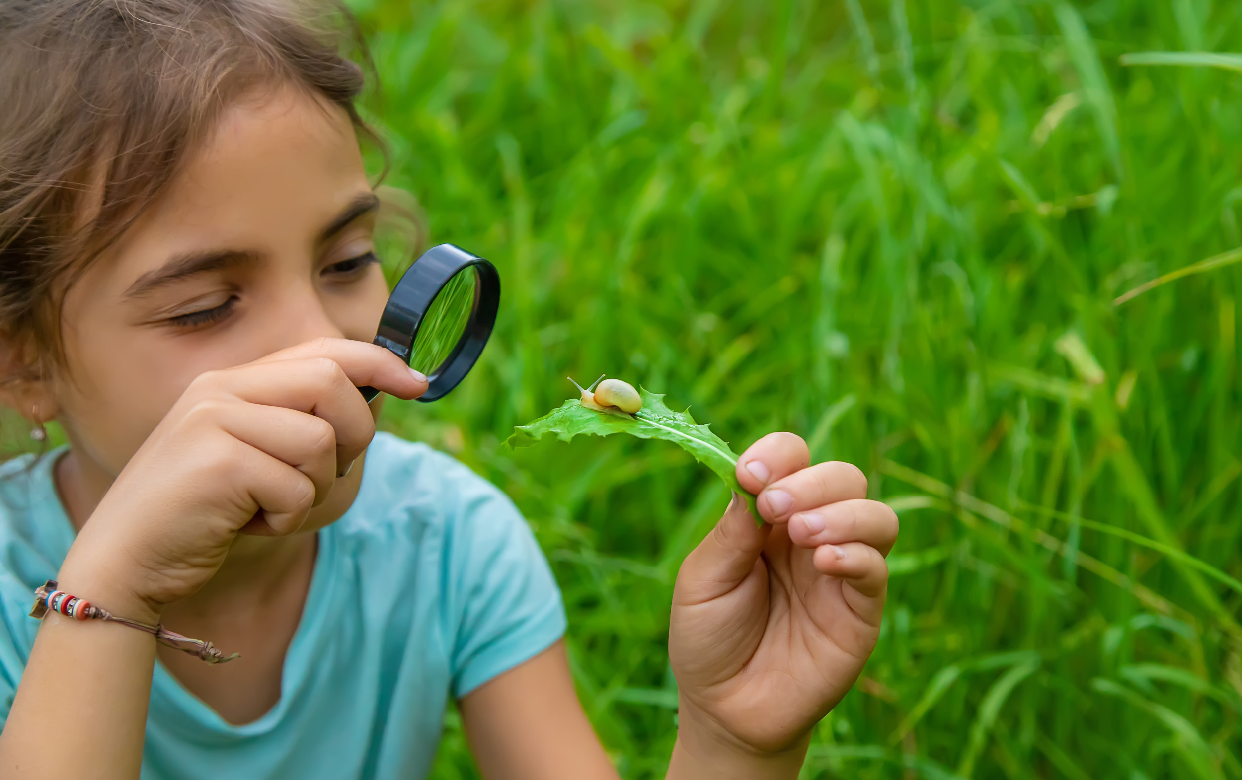 2 child-looks-snail-through-magnifying-glass-selective-focus-nature.jpg 2 child-looks-snail-through-magnifying-glass-selective-focus-nature.jpg