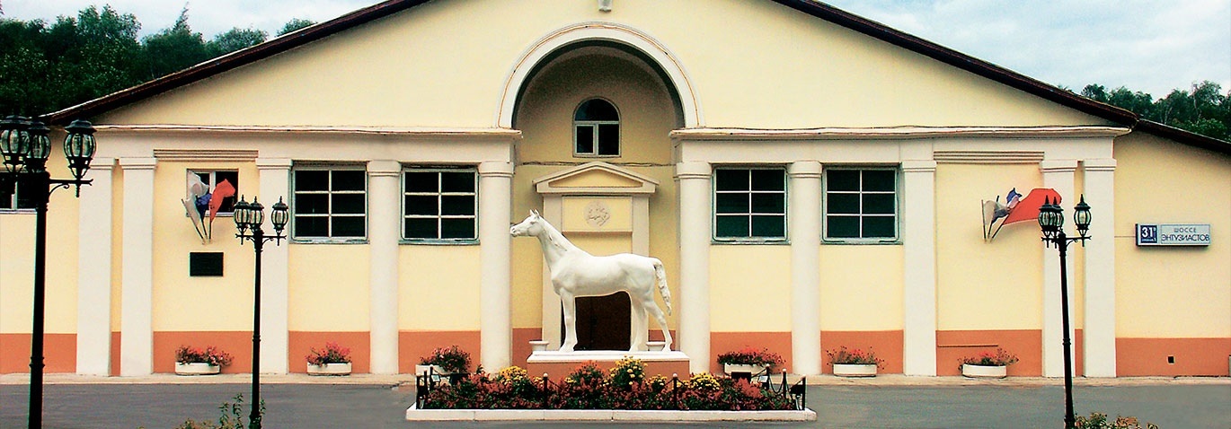 1370x478-content-img.390.jpg 1370x478-content-img.390.jpg