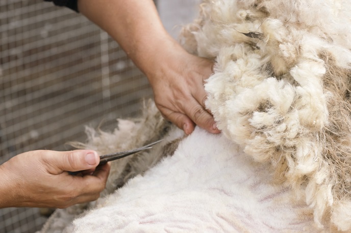 Детские игрушки из шерсти Детские игрушки из шерсти