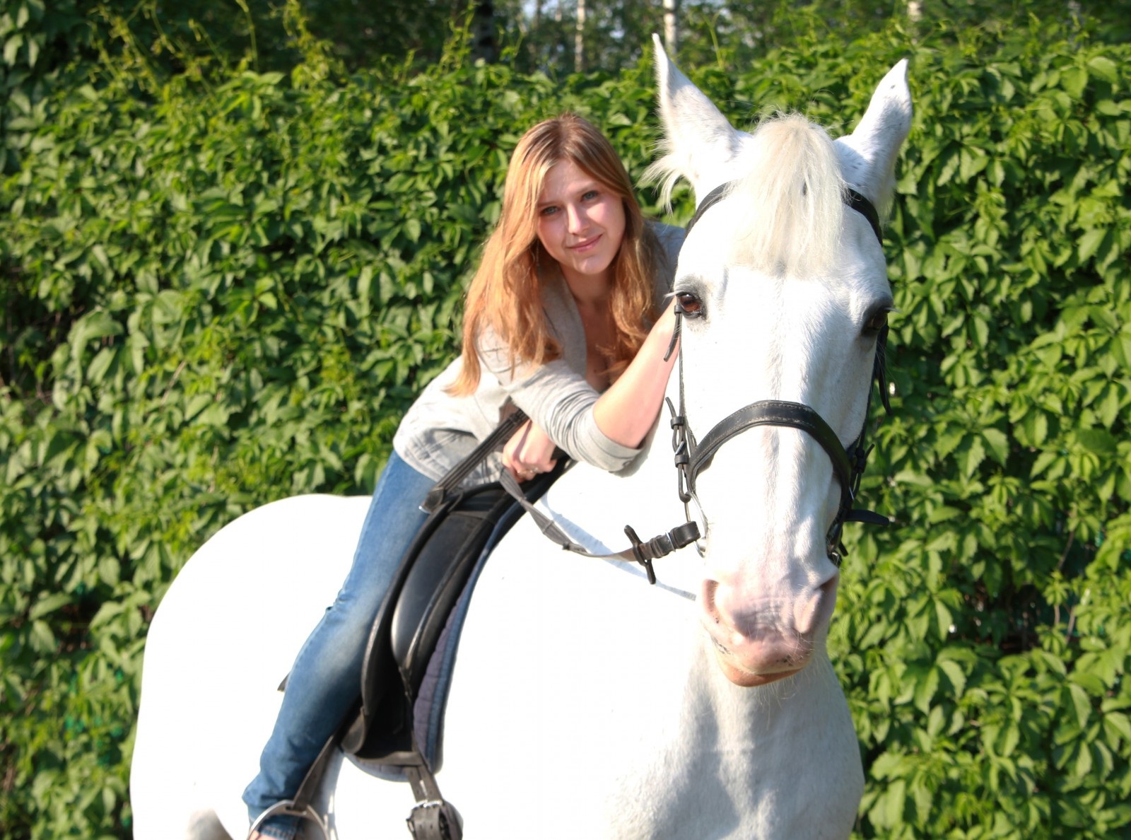 Полцарства за коня! Полцарства за коня!