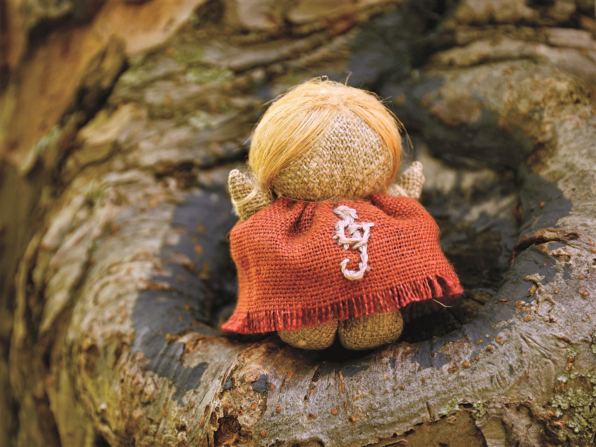 DSC_2338.jpg DSC_2338.jpg