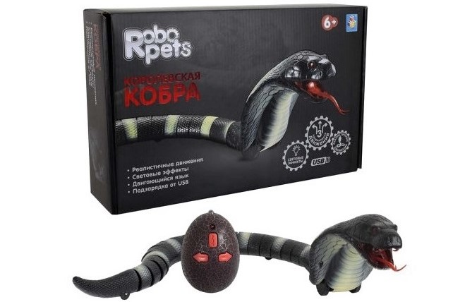 Королевская кобра Королевская кобра