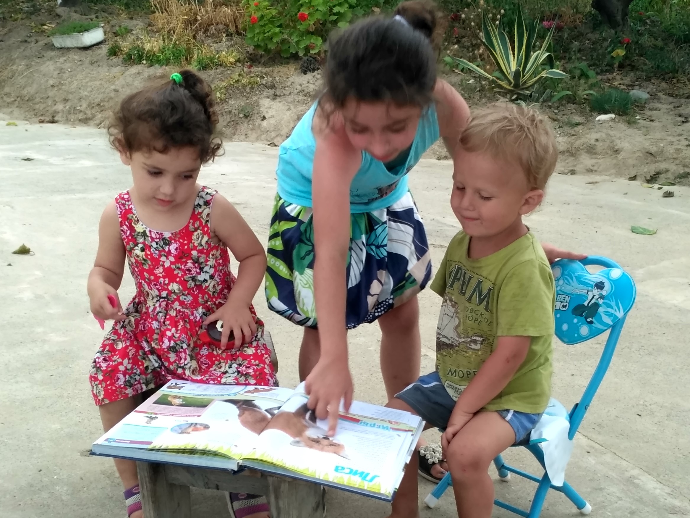 IMG_20180705_184243_HDR.jpg IMG_20180705_184243_HDR.jpg