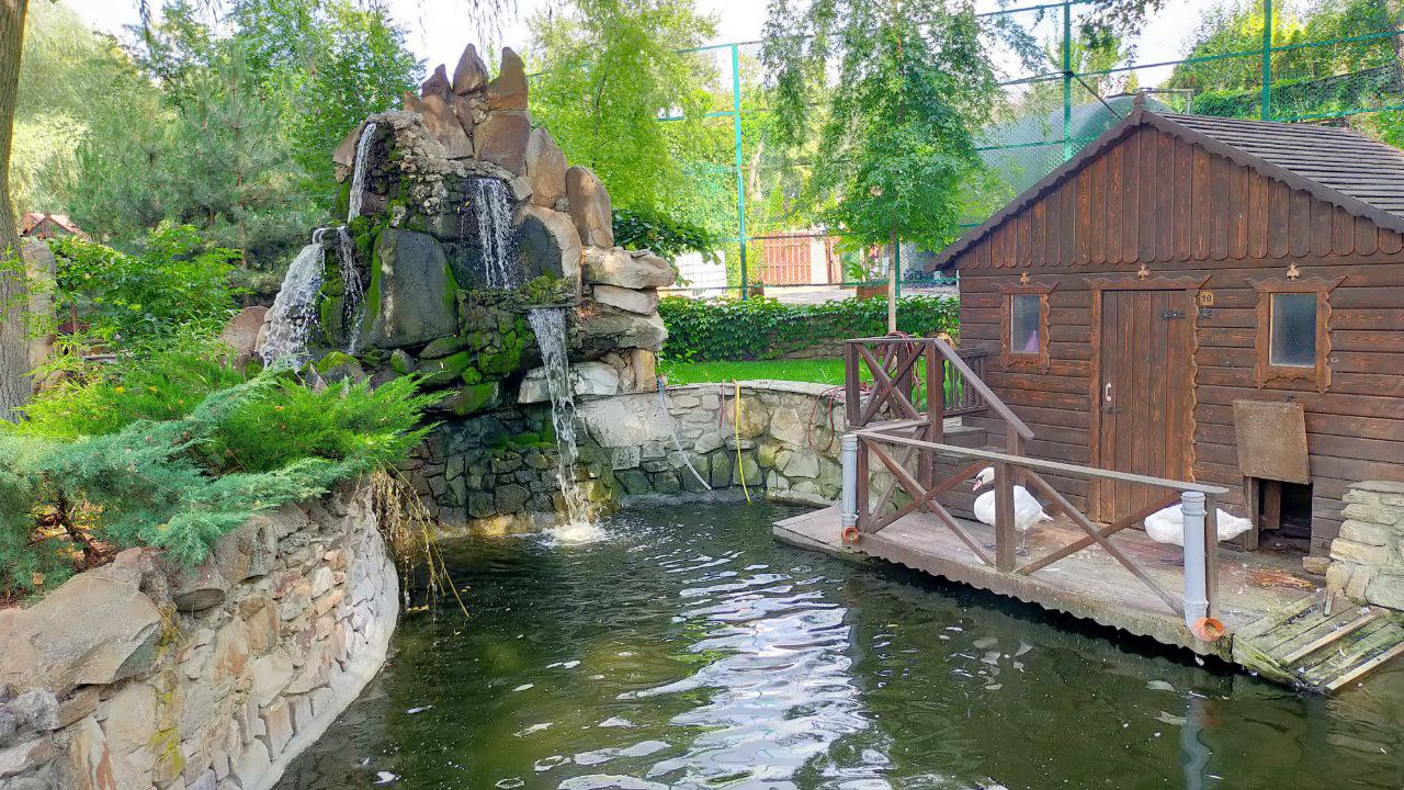 06 5208785553628197621.jpg