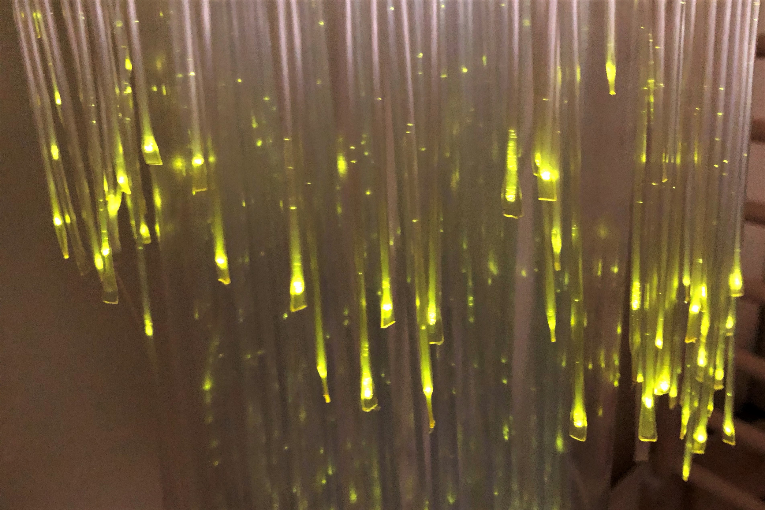 IMG_8637.jpg IMG_8637.jpg