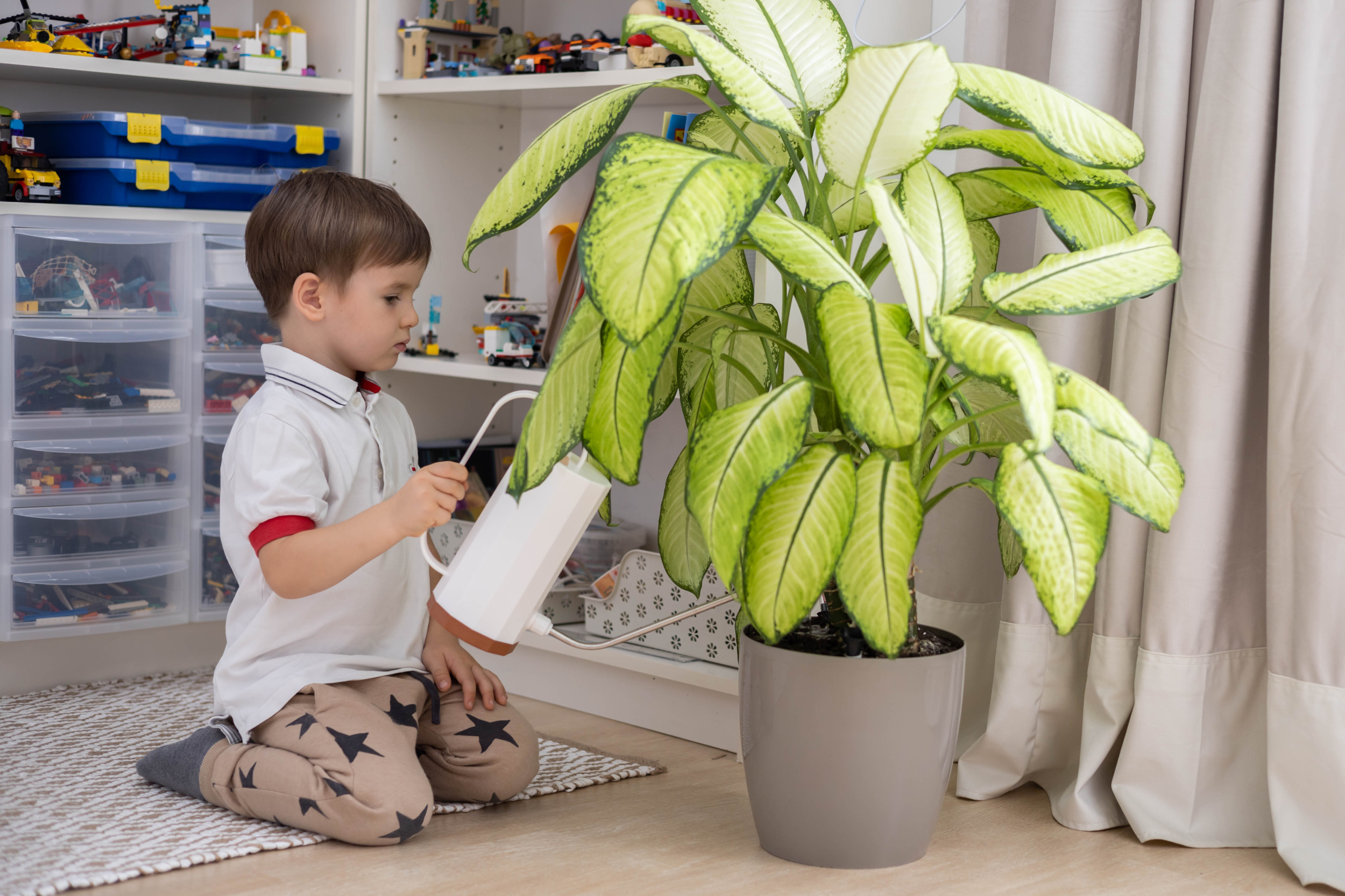 3 cropped-hand-man-preparing-food-table.jpg