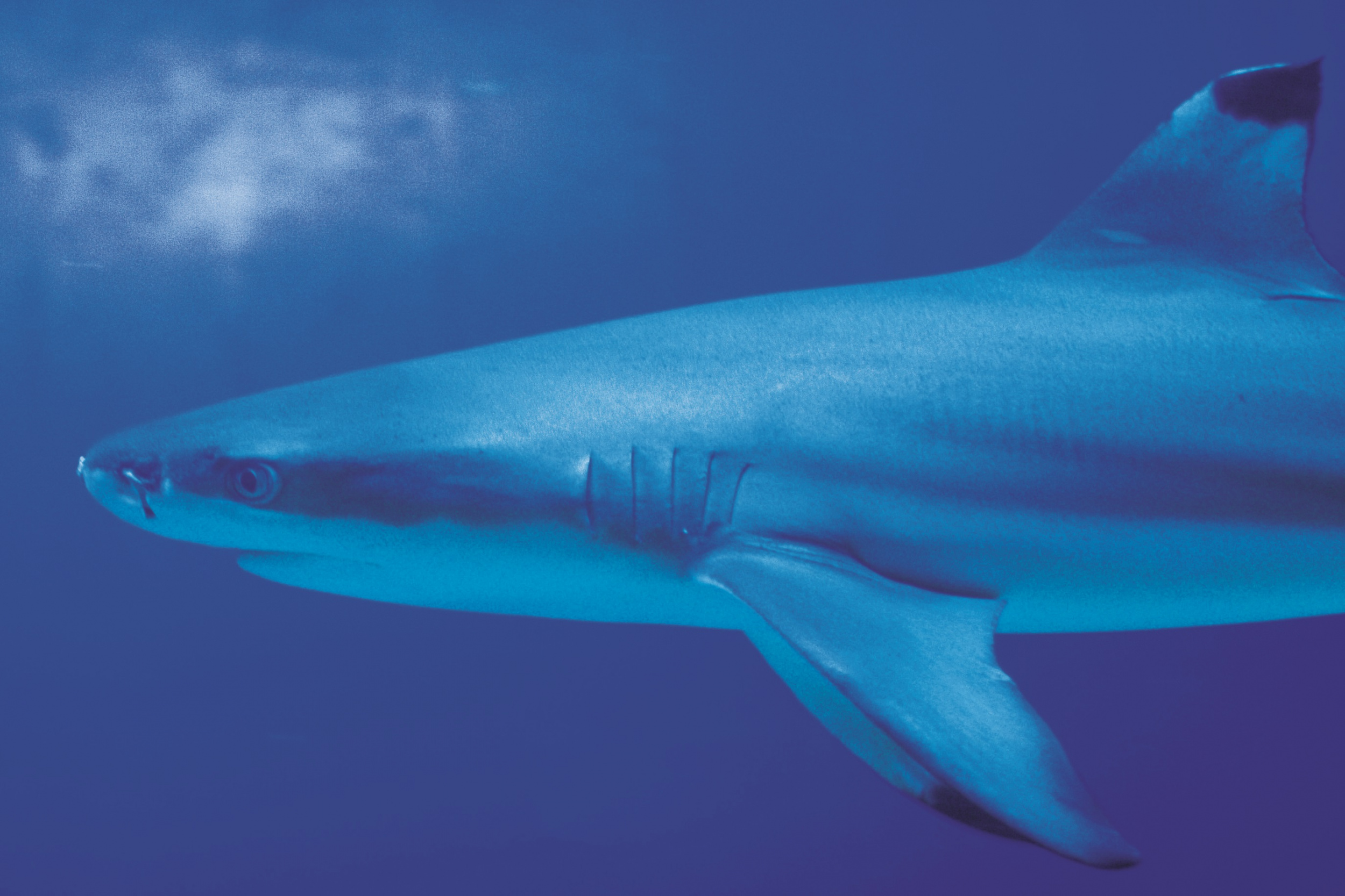 IMG_2601.jpg IMG_2601.jpg