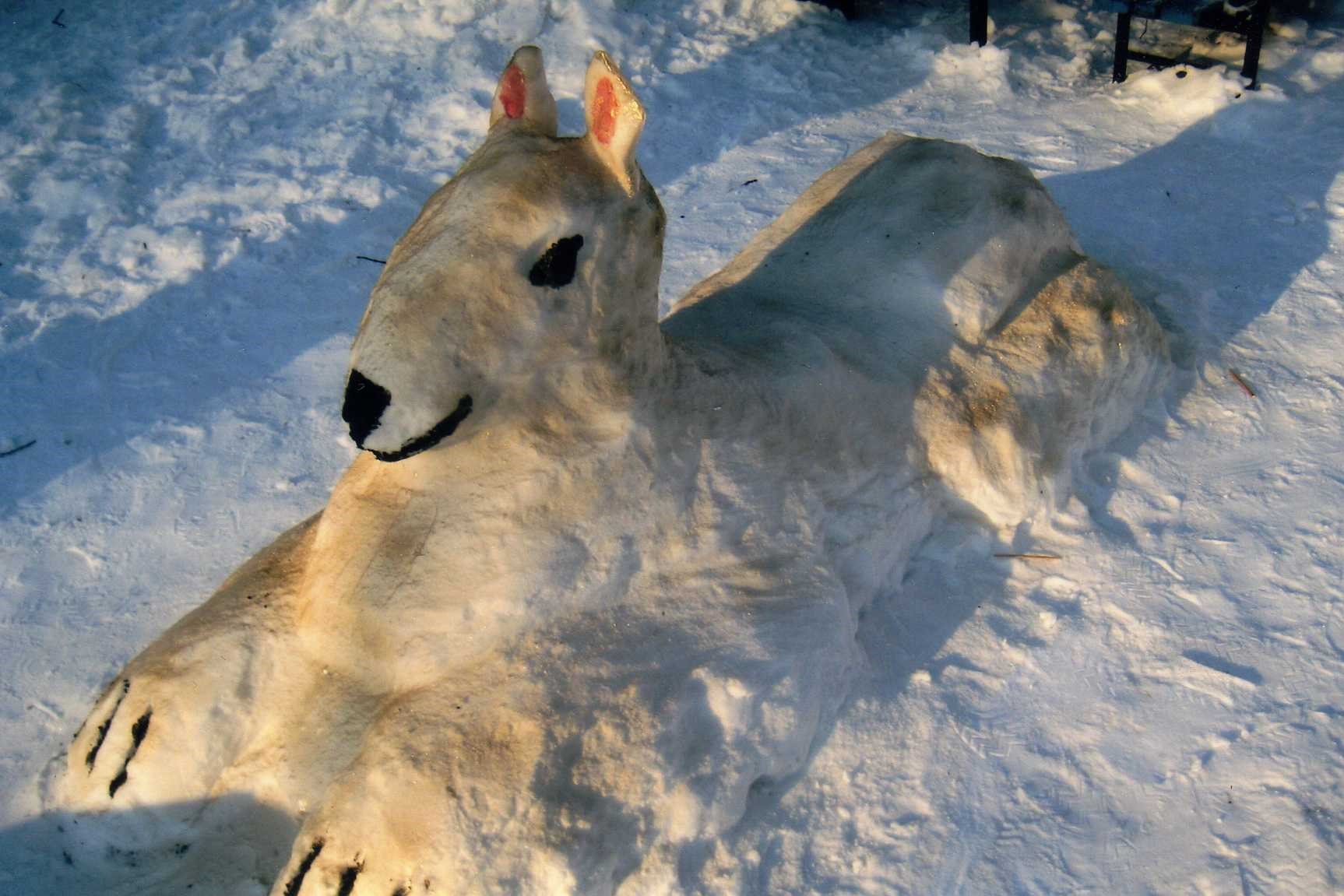 img121.jpg img121.jpg