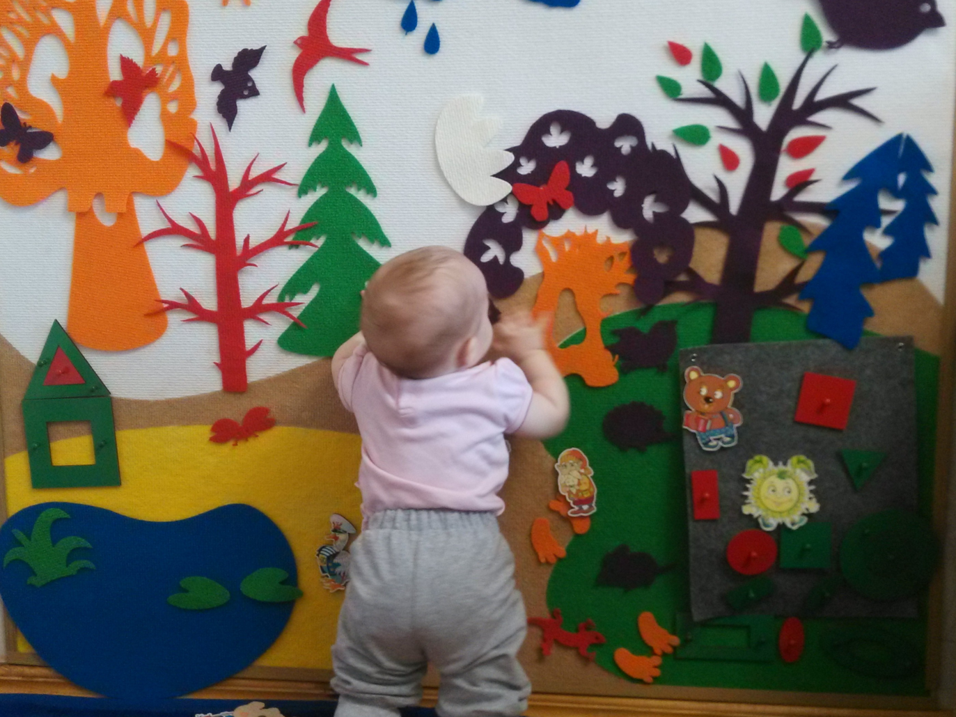 Фиолетовый лес Фиолетовый лес