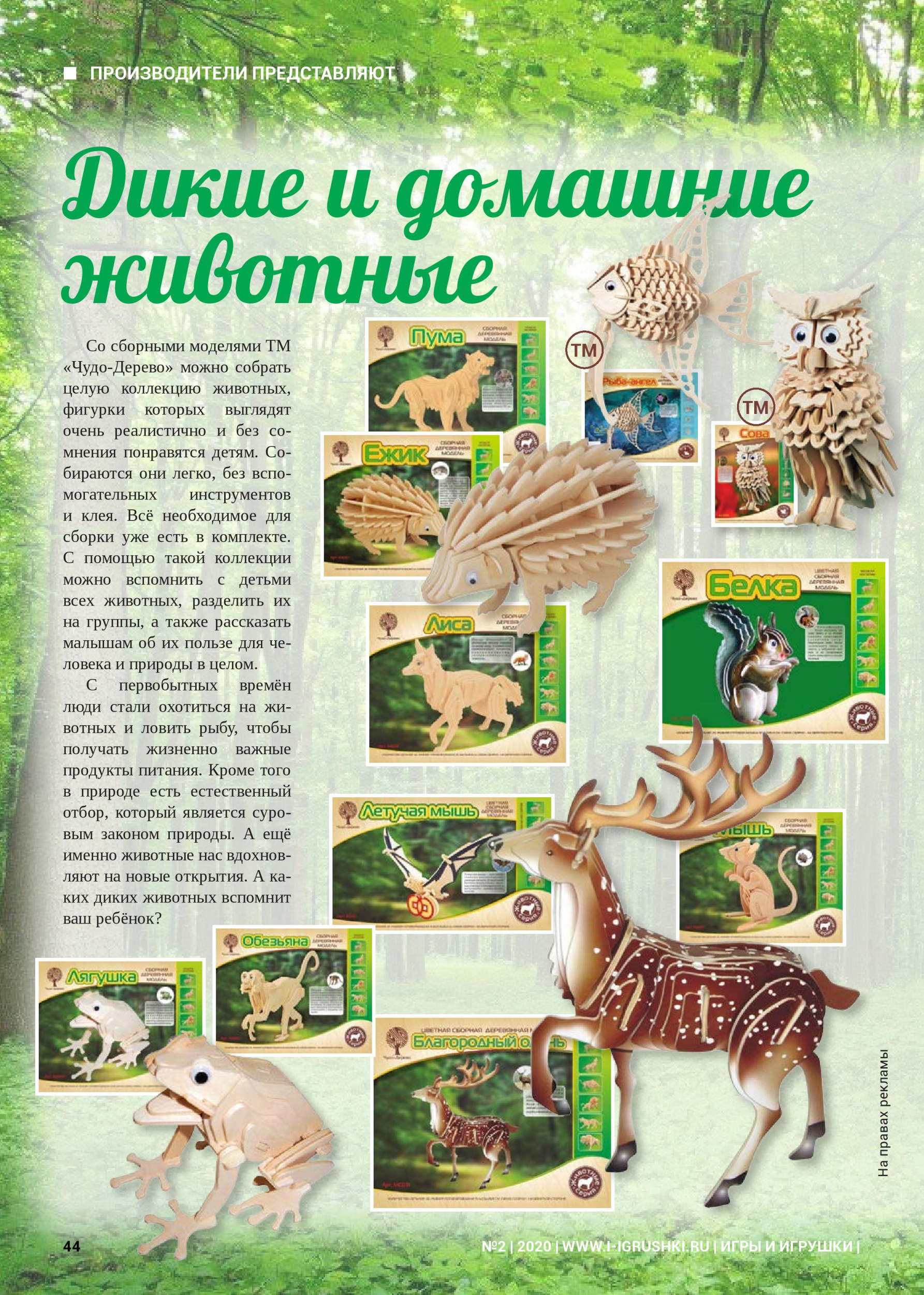 Дикие и домашние животные Дикие и домашние животные