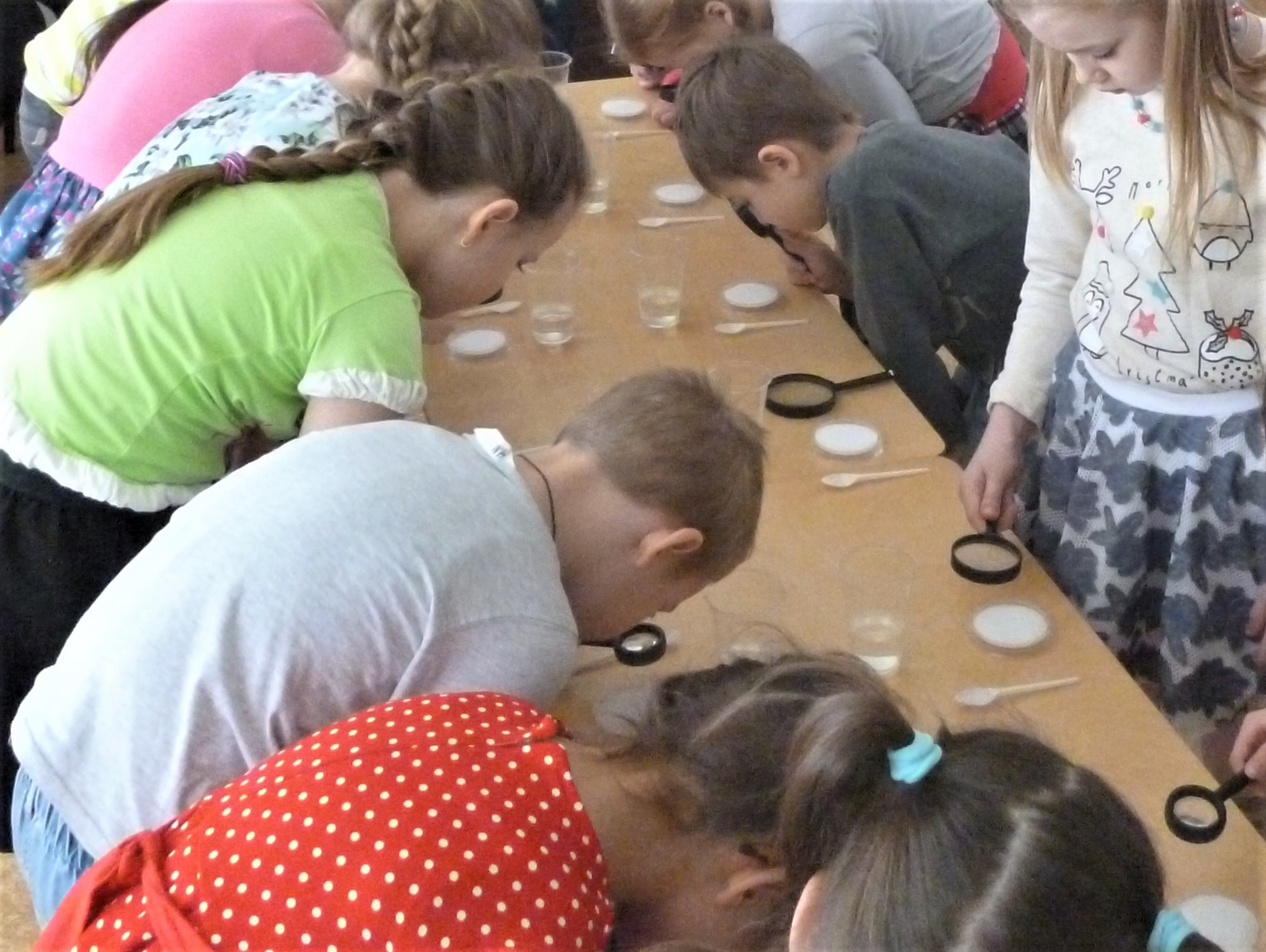 Открытое интегрированное занятие по экологическому воспитанию Открытое интегрированное занятие по экологическому воспитанию