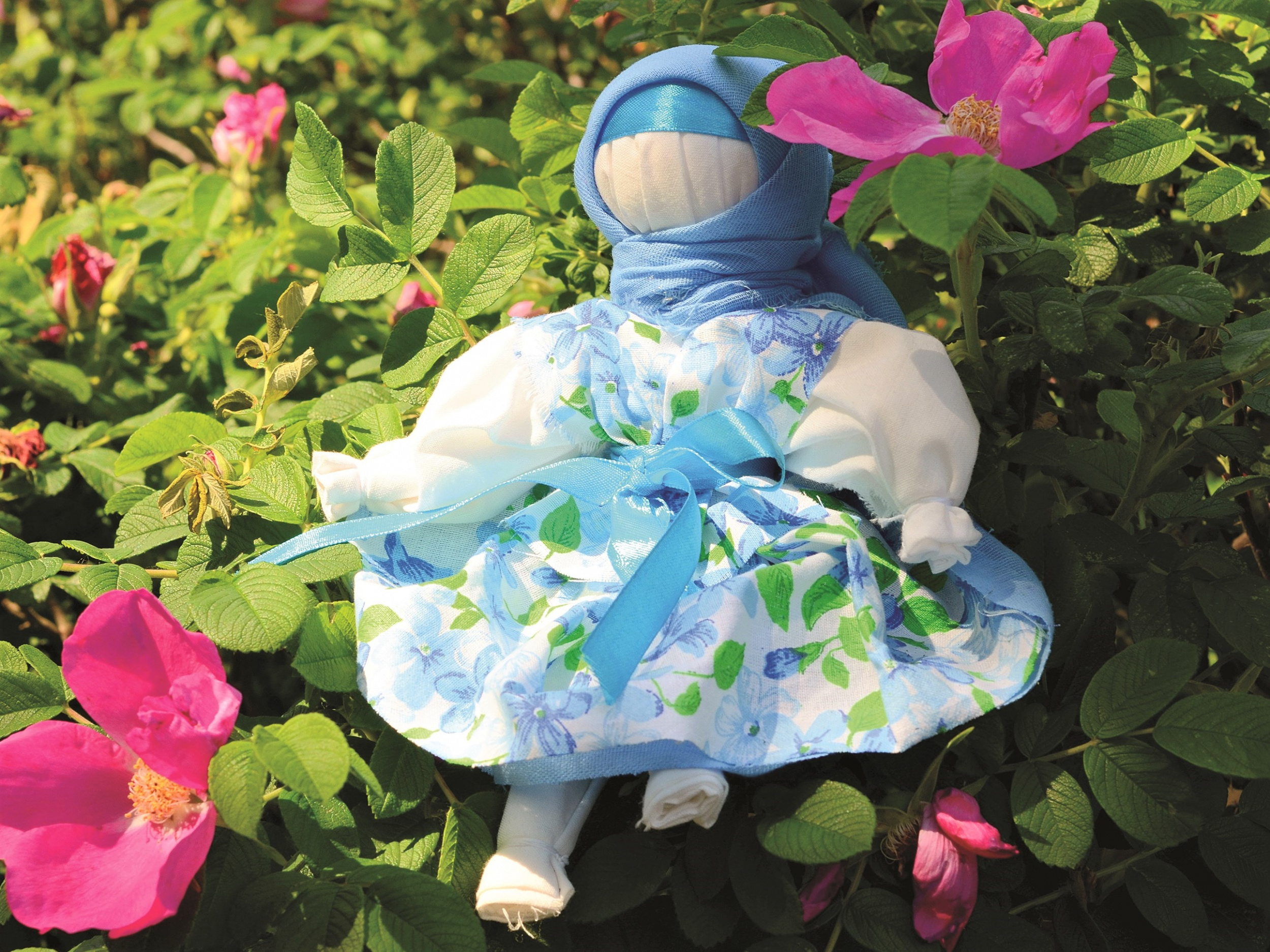 DSC_2377.jpg DSC_2377.jpg