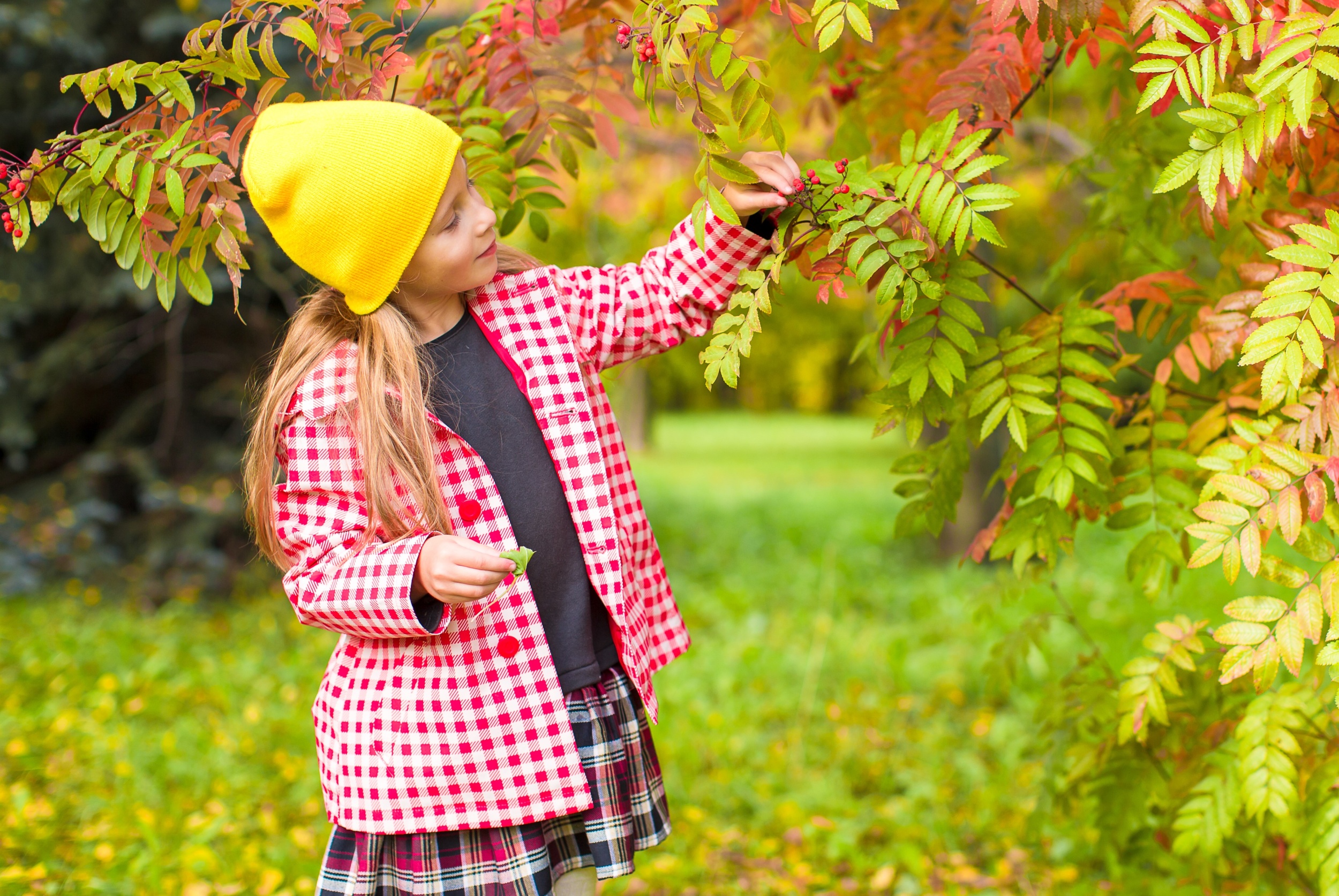 1 ocarovatel-naa-malen-kaa-devocka-v-prekrasnyi-osennii-den-na-otkrytom-vozduhe.jpg 1 ocarovatel-naa-malen-kaa-devocka-v-prekrasnyi-osennii-den-na-otkrytom-vozduhe.jpg
