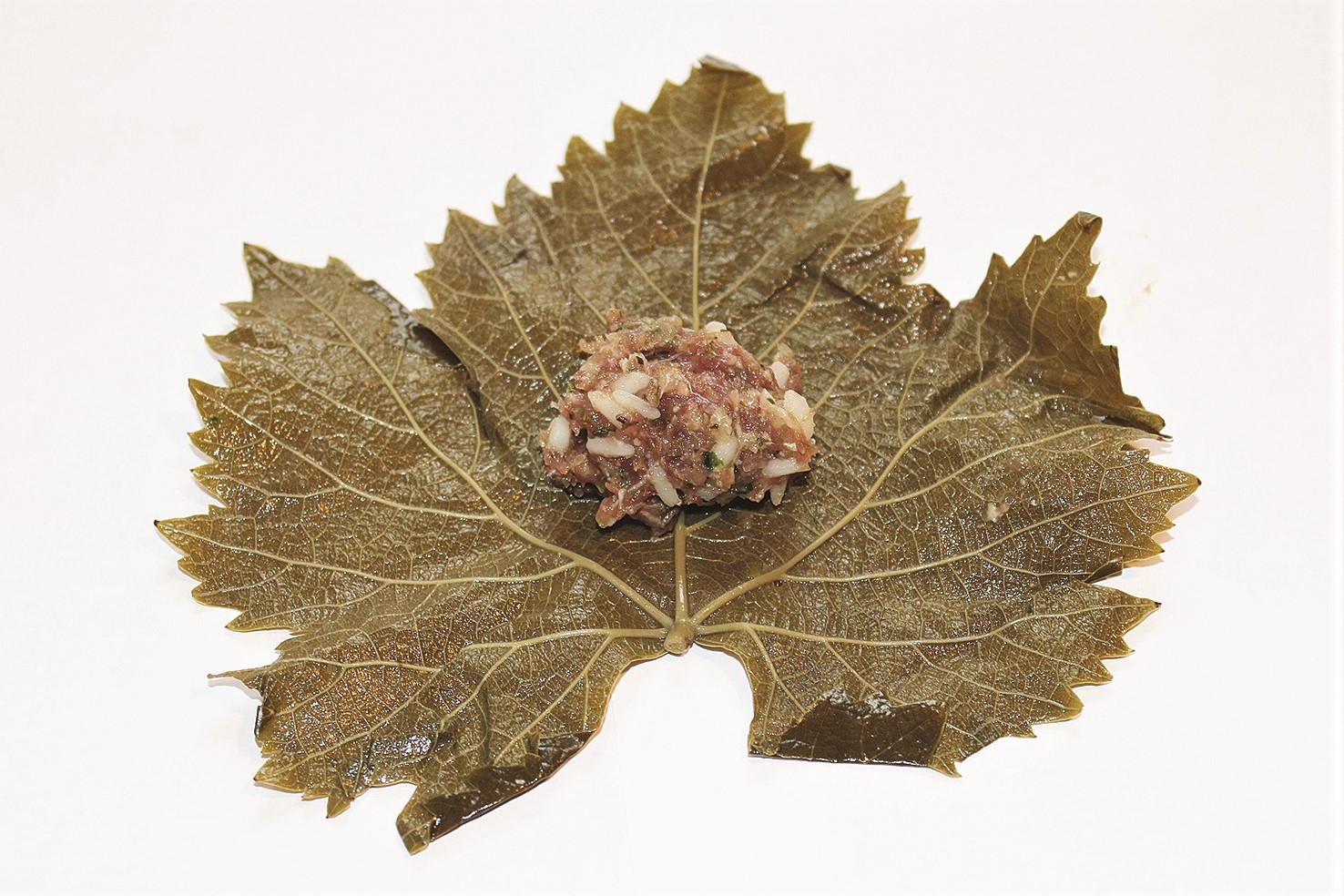 IMG_8605.jpg IMG_8605.jpg