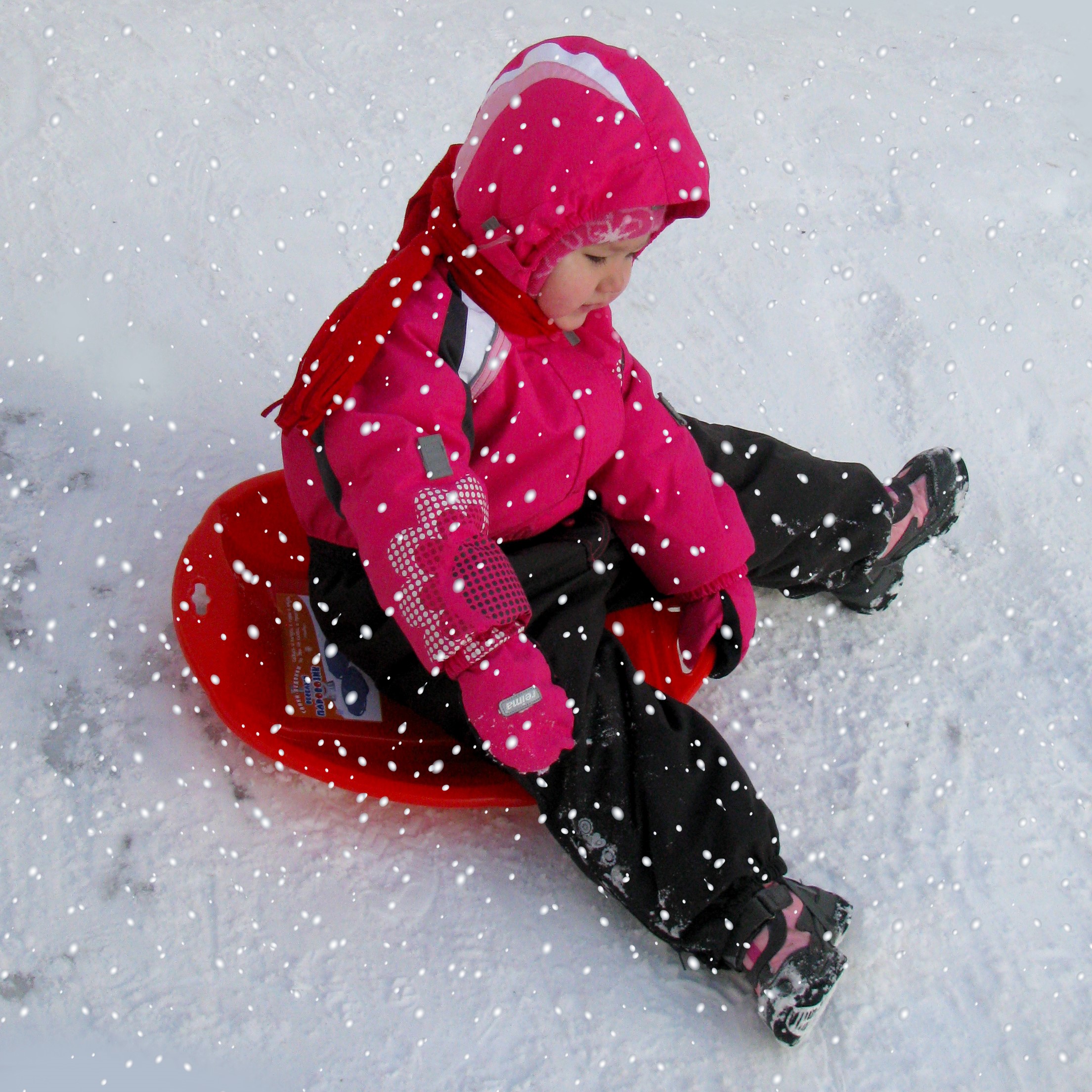 IMG_2060-2.jpg IMG_2060-2.jpg