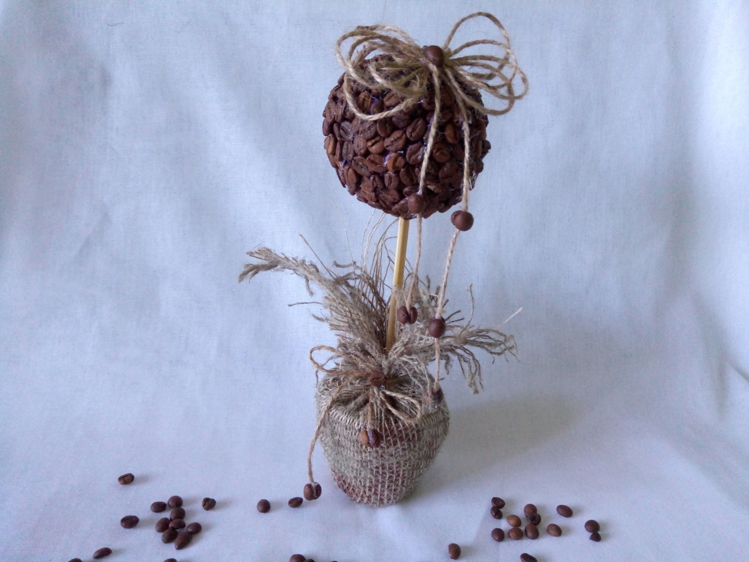 Кофейное деревце Кофейное деревце