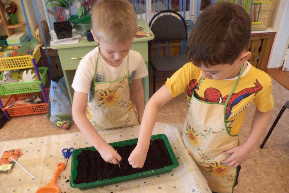 Image120607.jpg Image120607.jpg