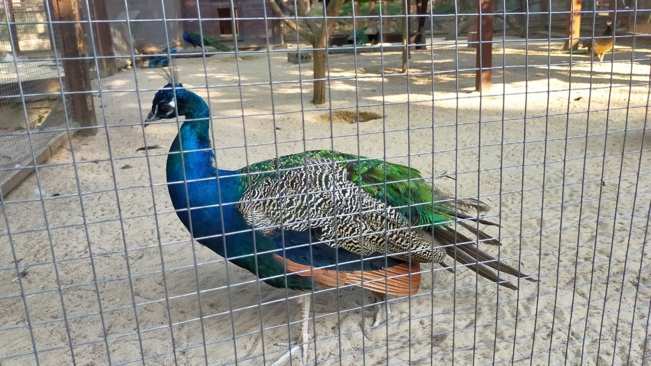 03 5208785553628197627.jpg