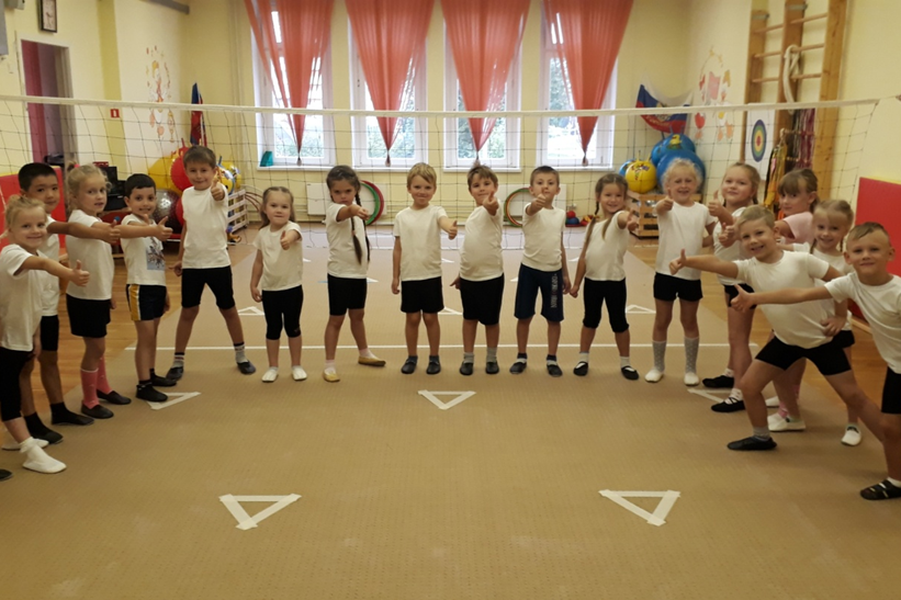 Занятия физкультурой в саду Занятия физкультурой в саду