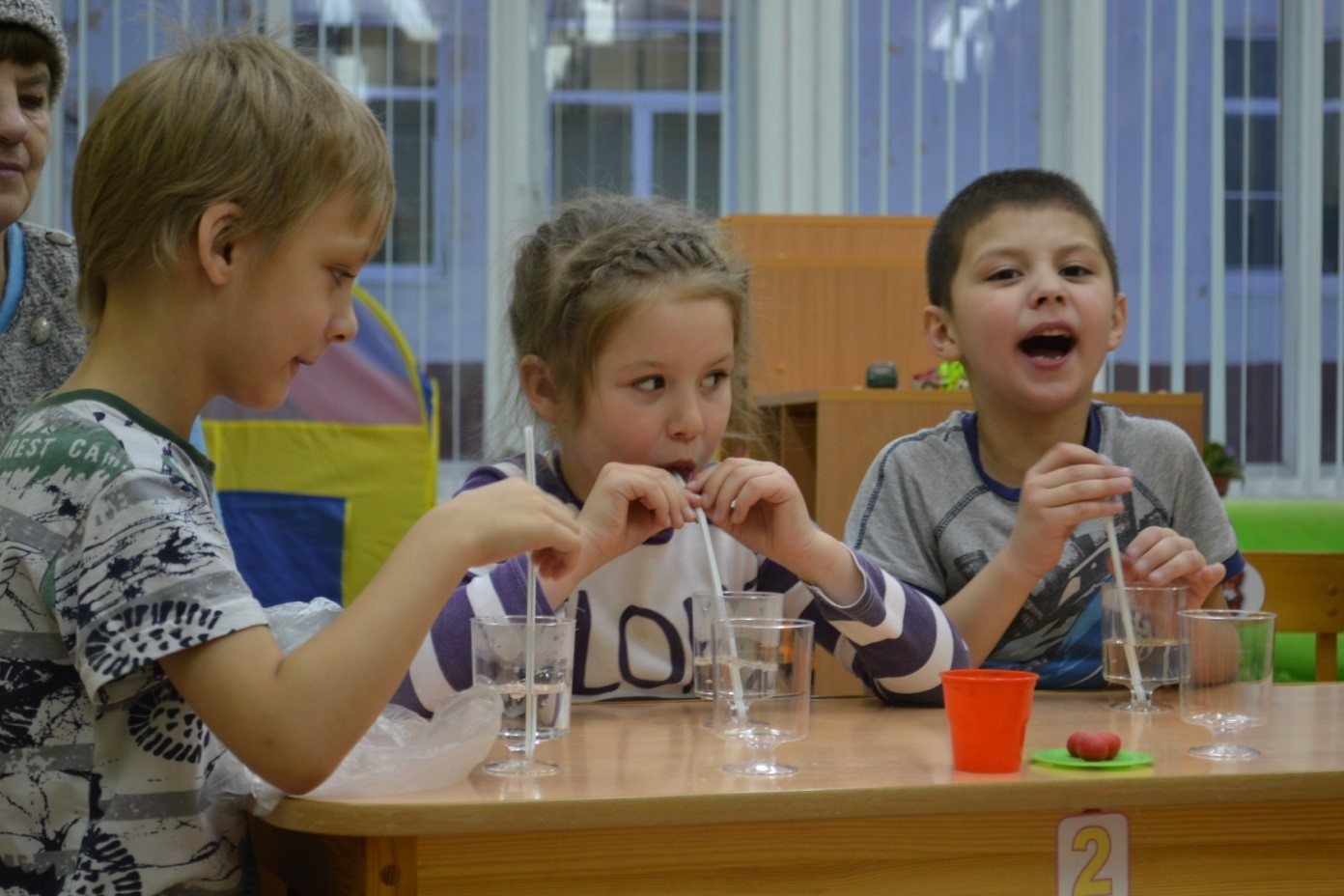 Организация опытов и экспериментов Организация опытов и экспериментов