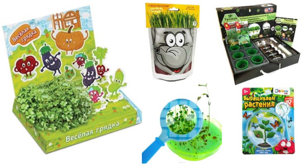 Happy Plant наборы для выращивания растений Happy Plant наборы для выращивания растений