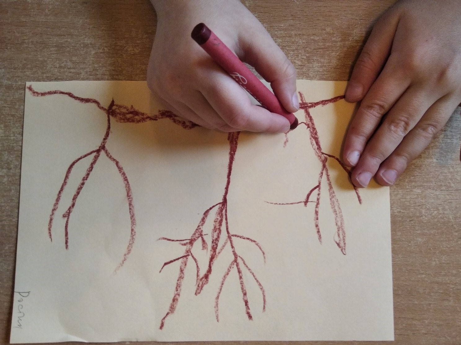 Детский рисунок осени Детский рисунок осени