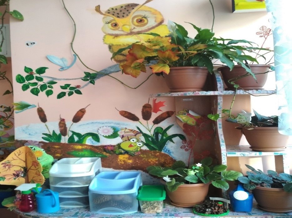 Экологический уголок Экологический уголок